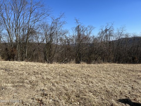 Residential Building Lot in Subdivision