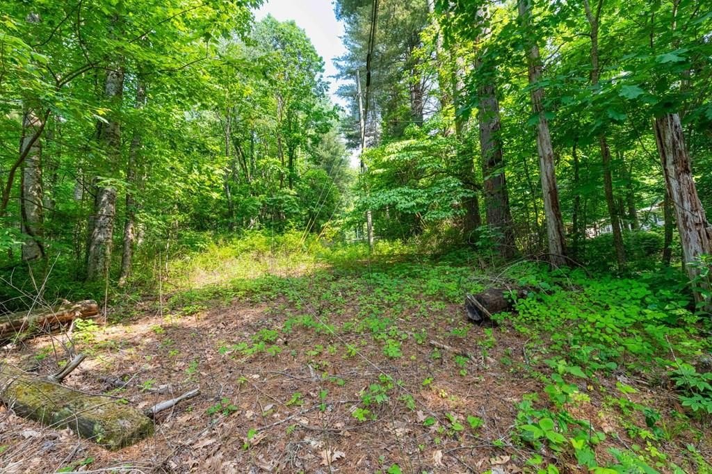 Unrestricted Wooded Land For Sale