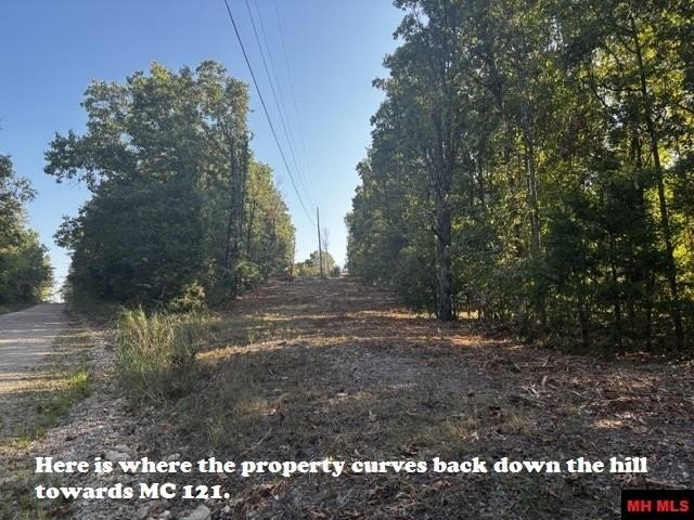 Picture 19