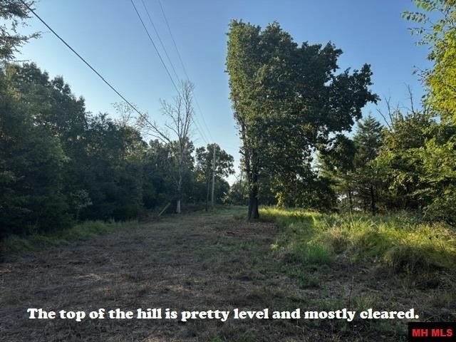 Picture 8