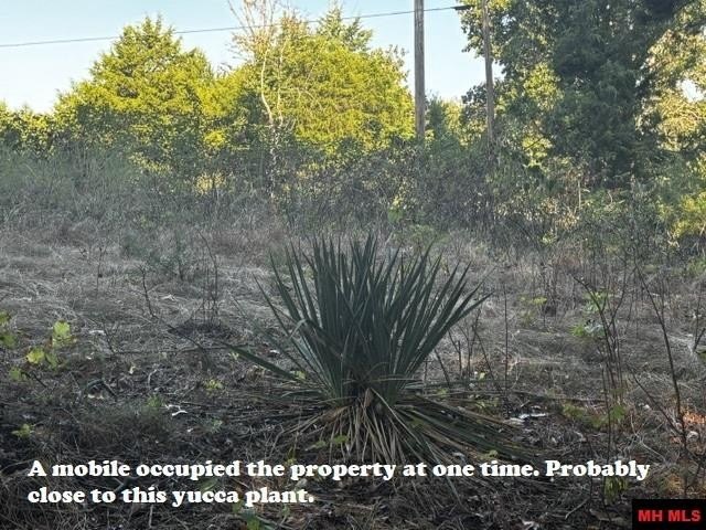Picture 14