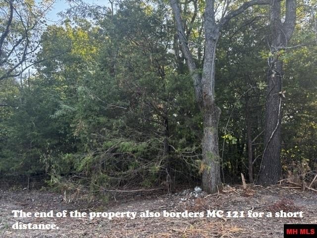 Picture 18