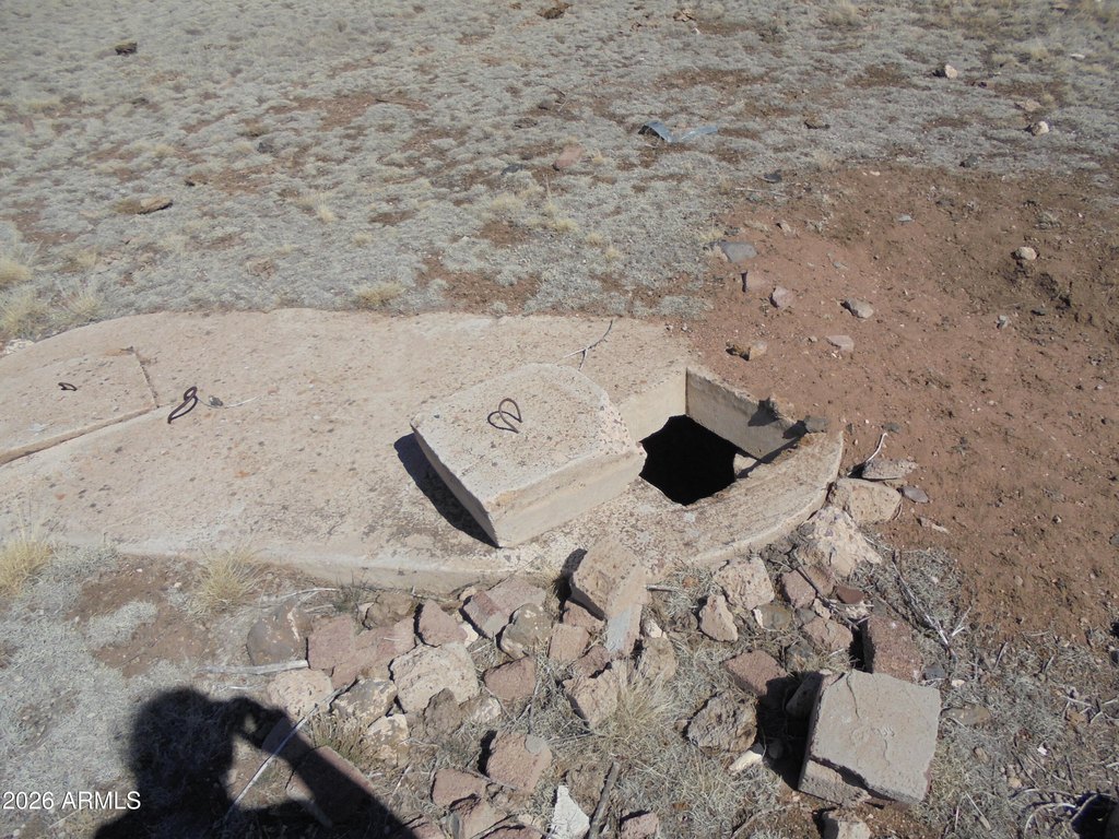 Picture 8