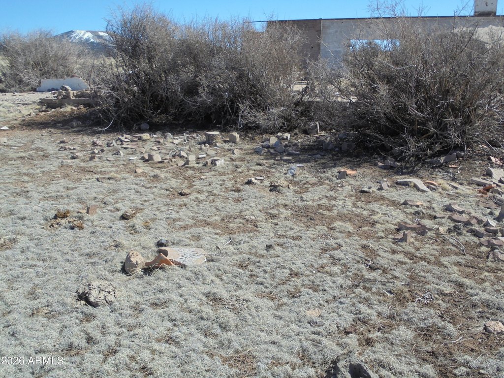 Picture 12