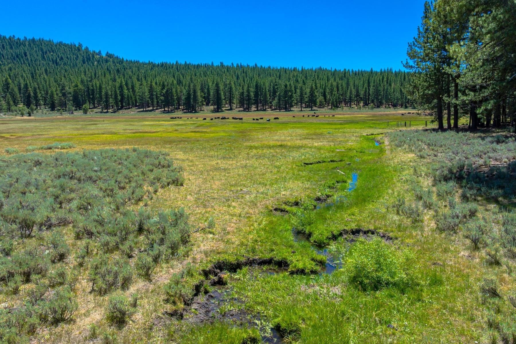 Sierra Valley Land Opportunity