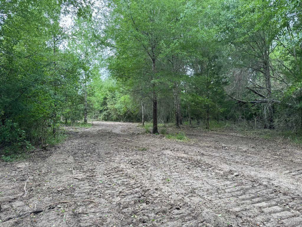 Picture 34