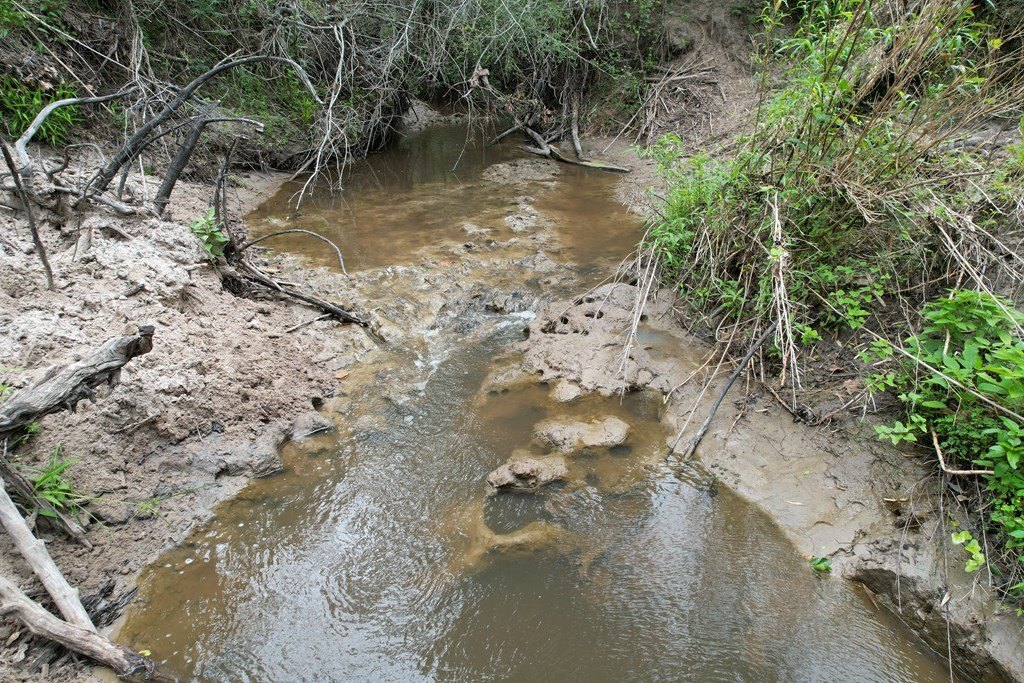 Picture 12