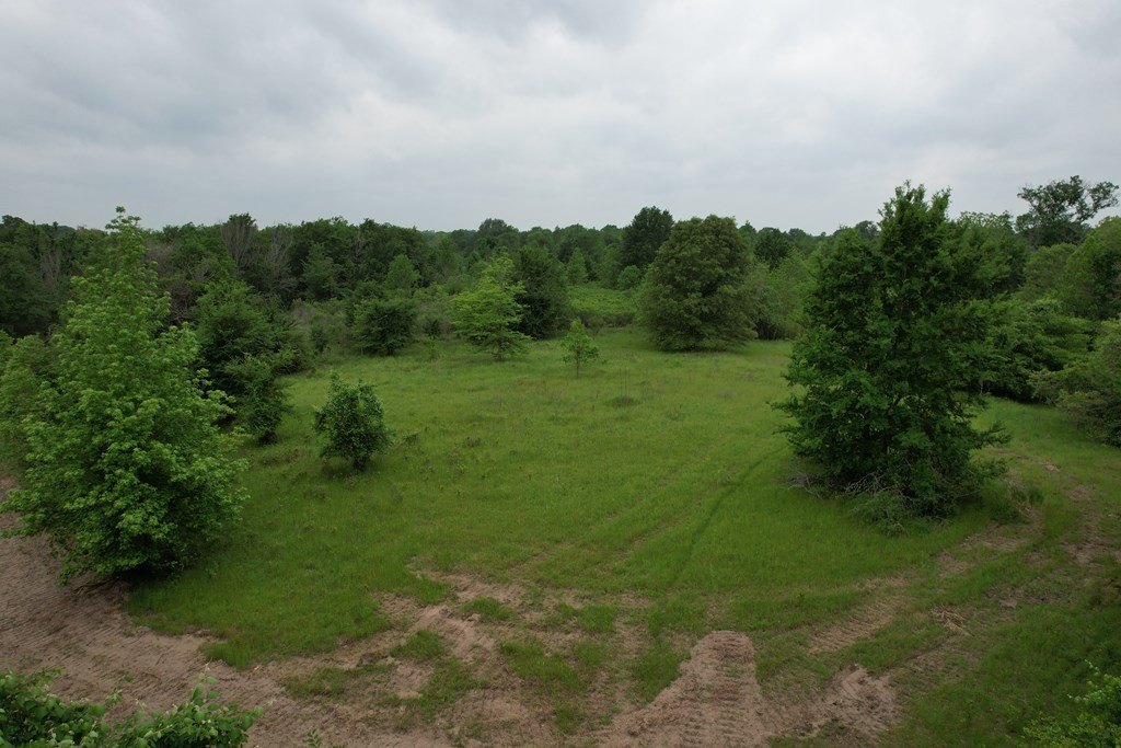 Picture 28