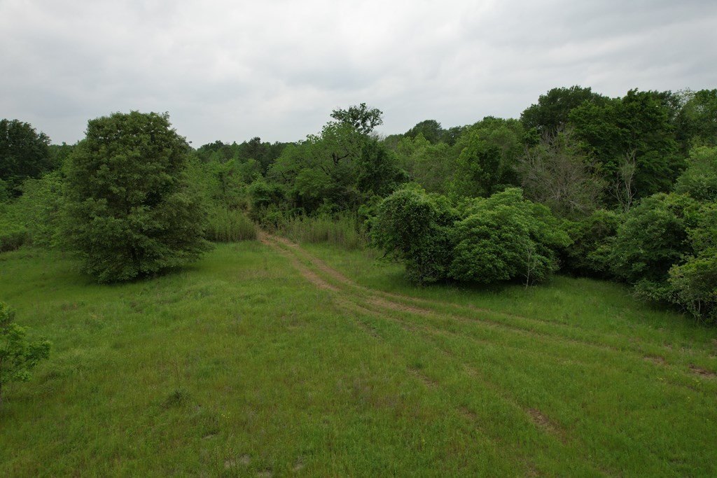 Picture 31