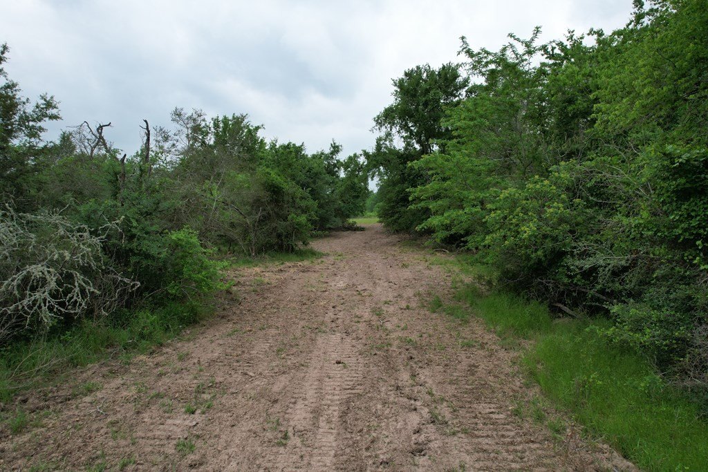 Picture 27