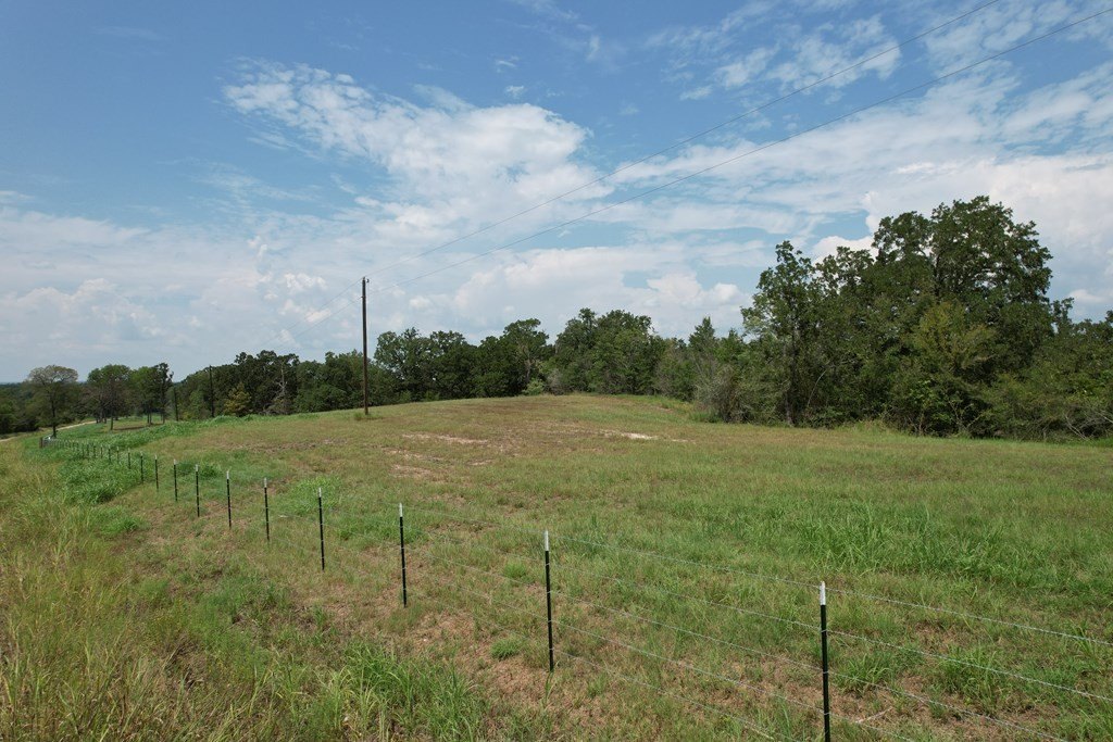 Picture 37