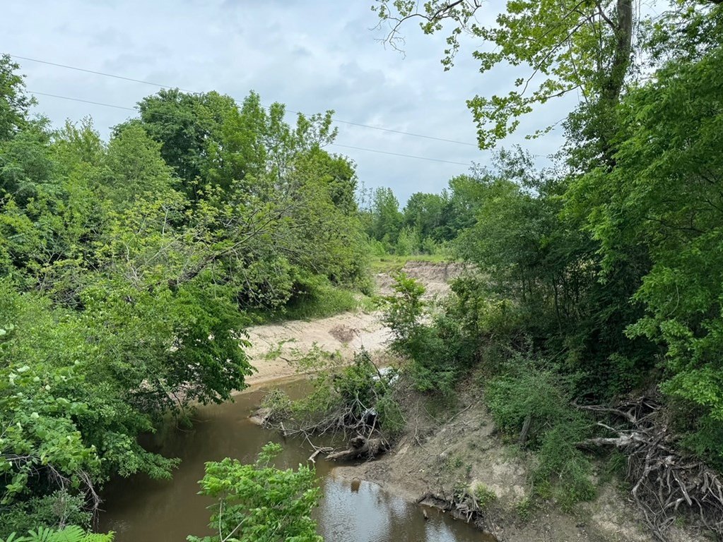Picture 16