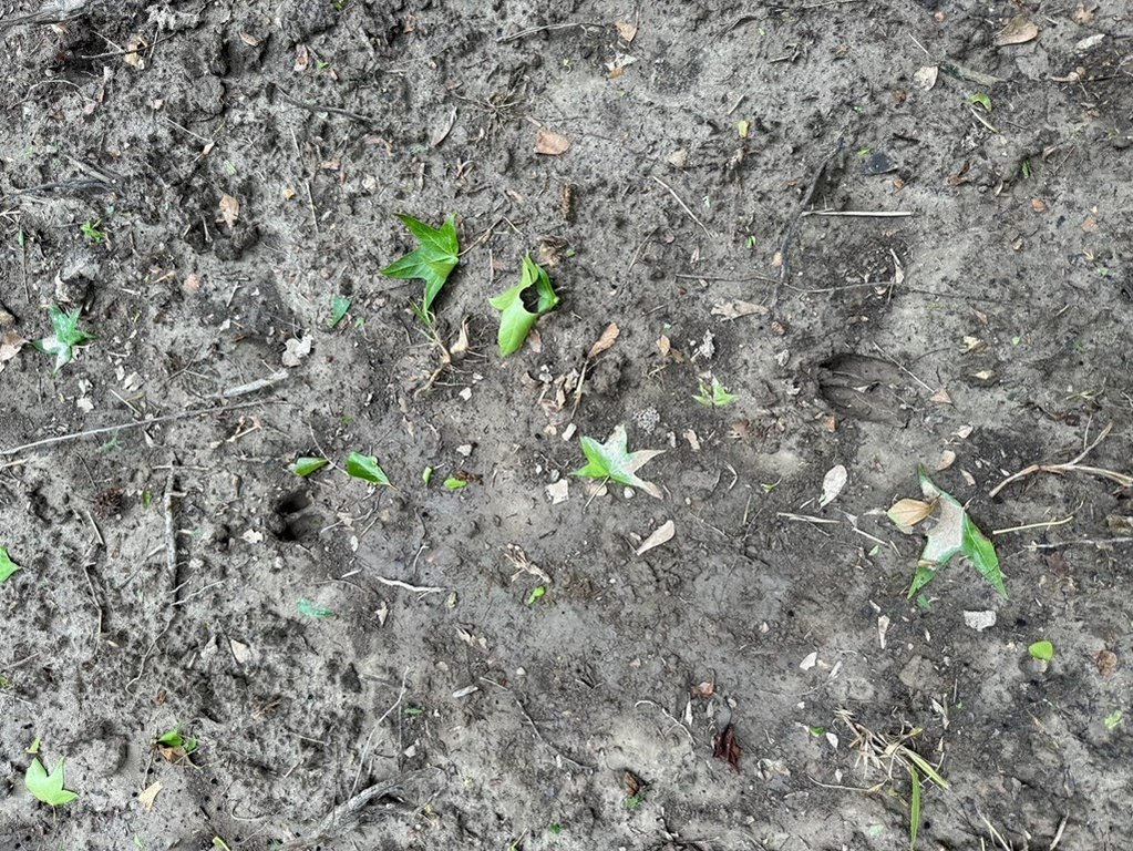 Picture 40