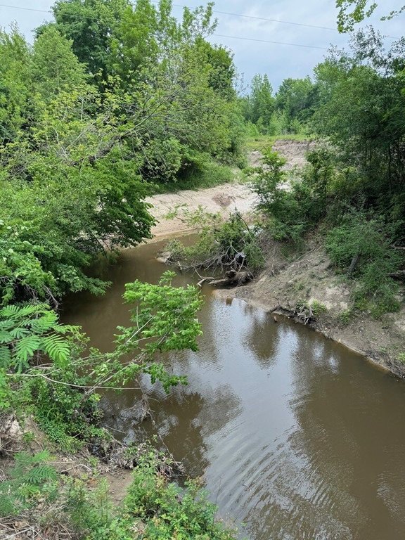 Picture 15