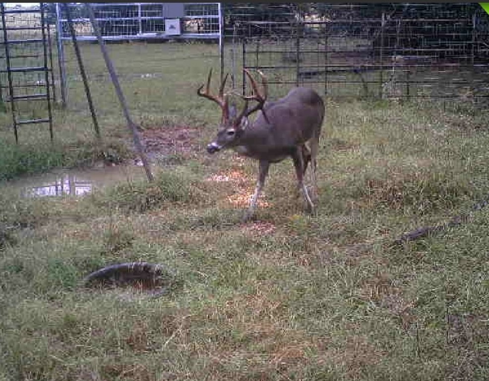 Picture 44