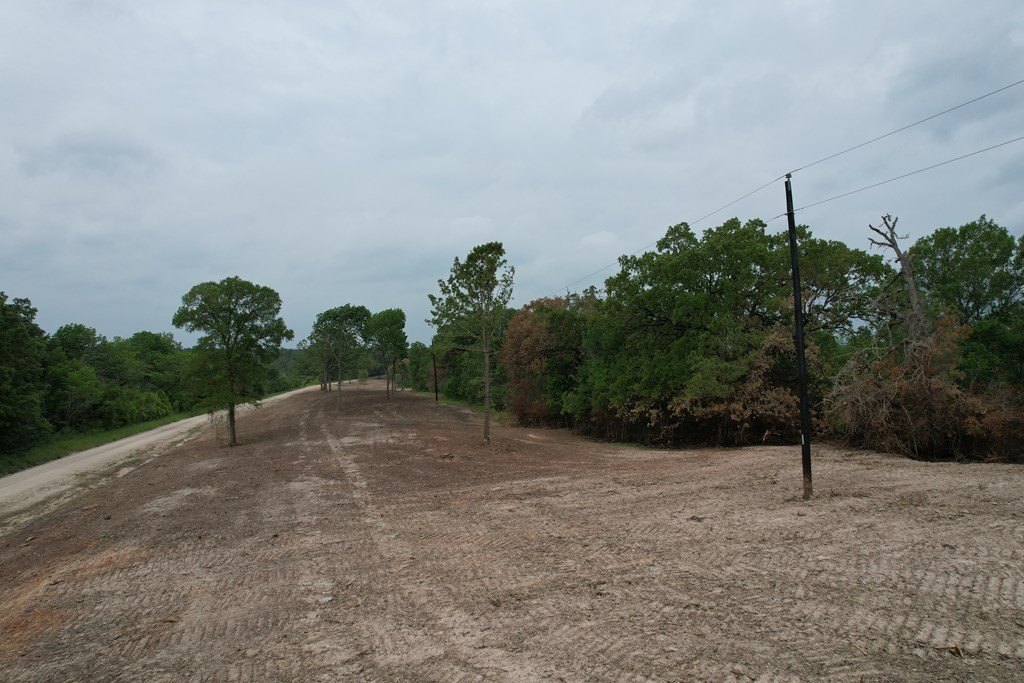 Picture 7