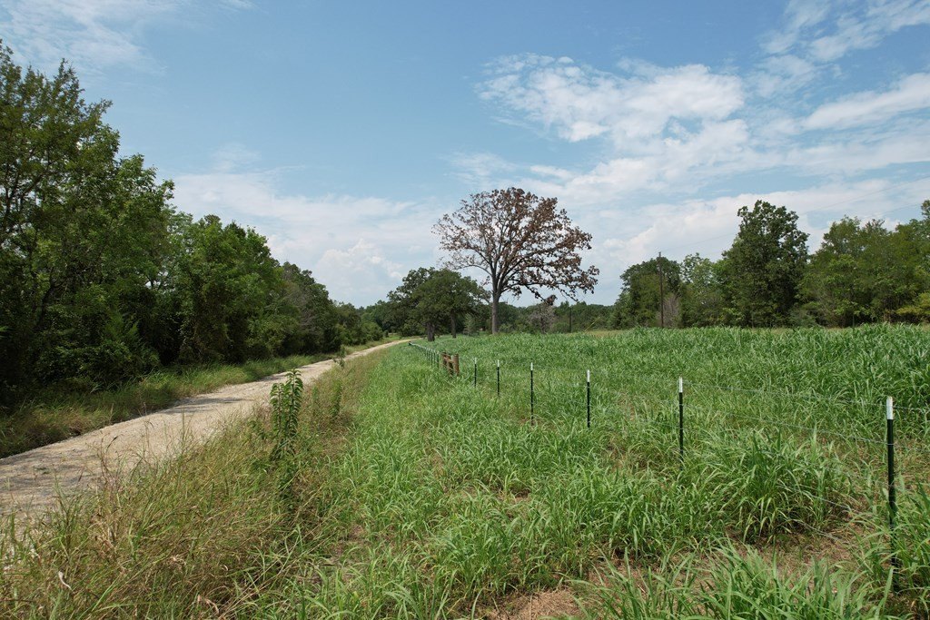 Picture 36