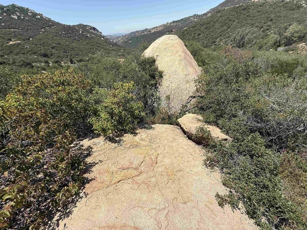 Picture 41