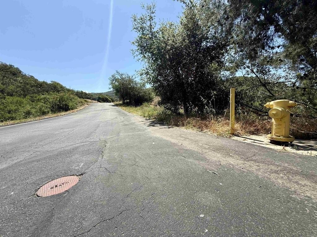 Picture 30