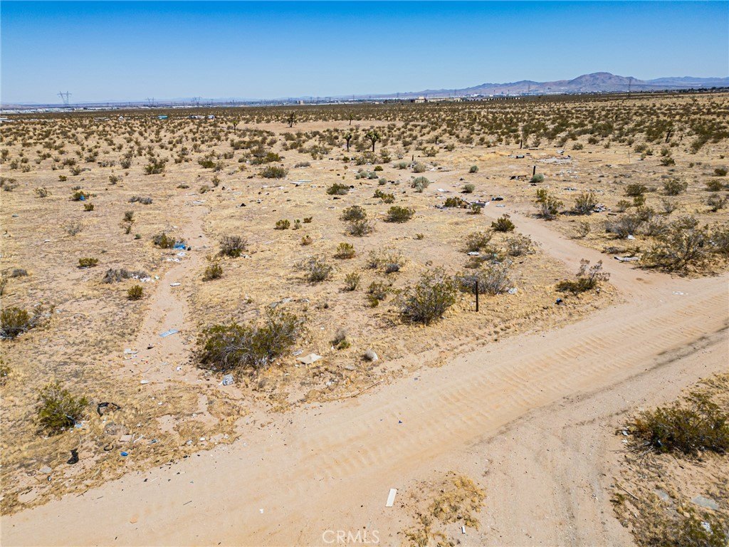 Picture 24