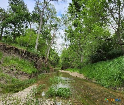 41.918 Acres in Holland, Texas