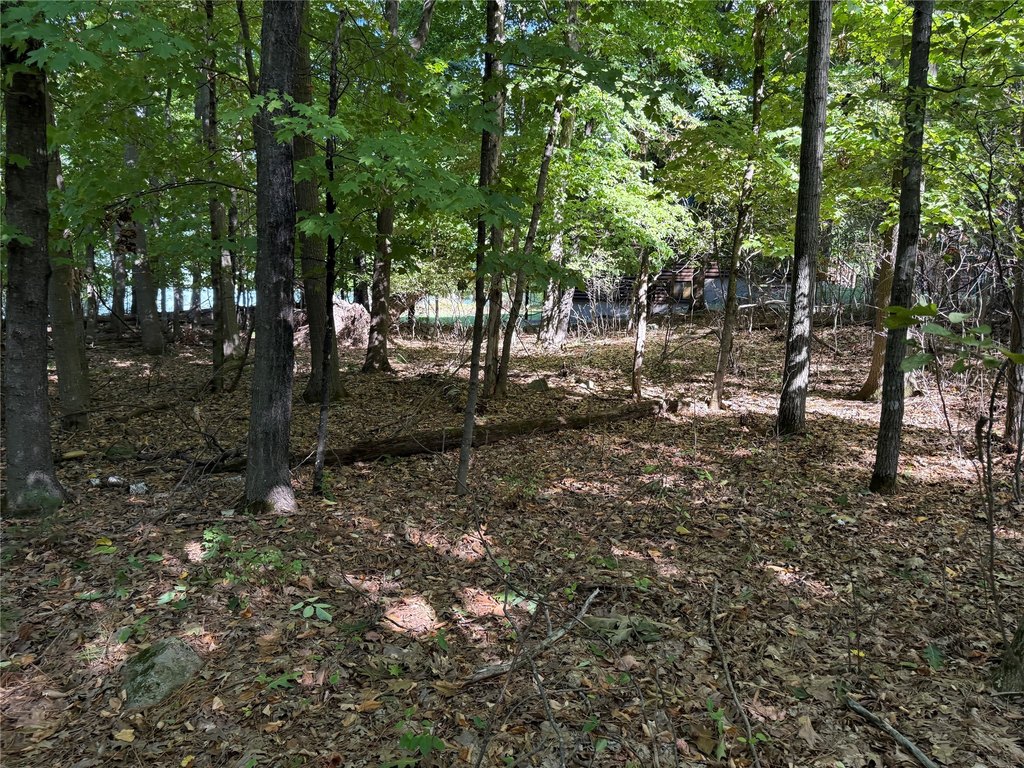 Picture 22