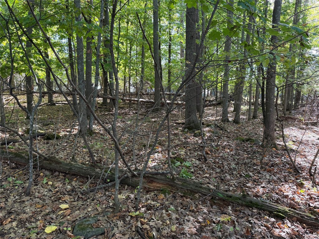 Picture 19