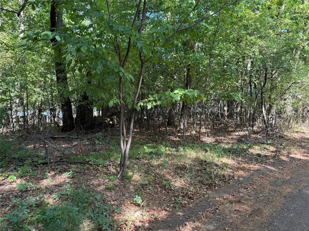 Picture 24