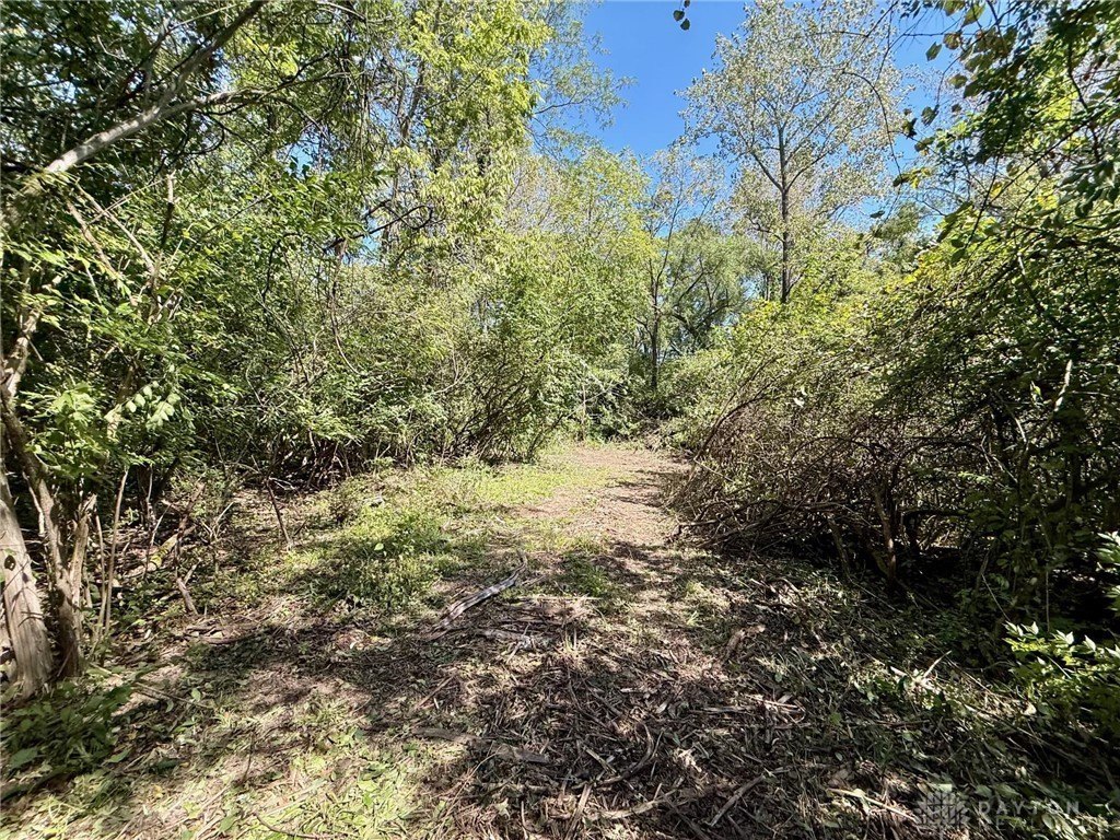 Picture 10