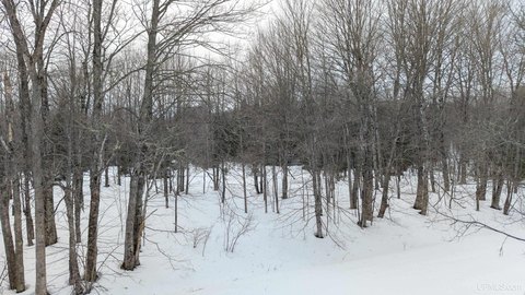 Wooded Land Near McFarland