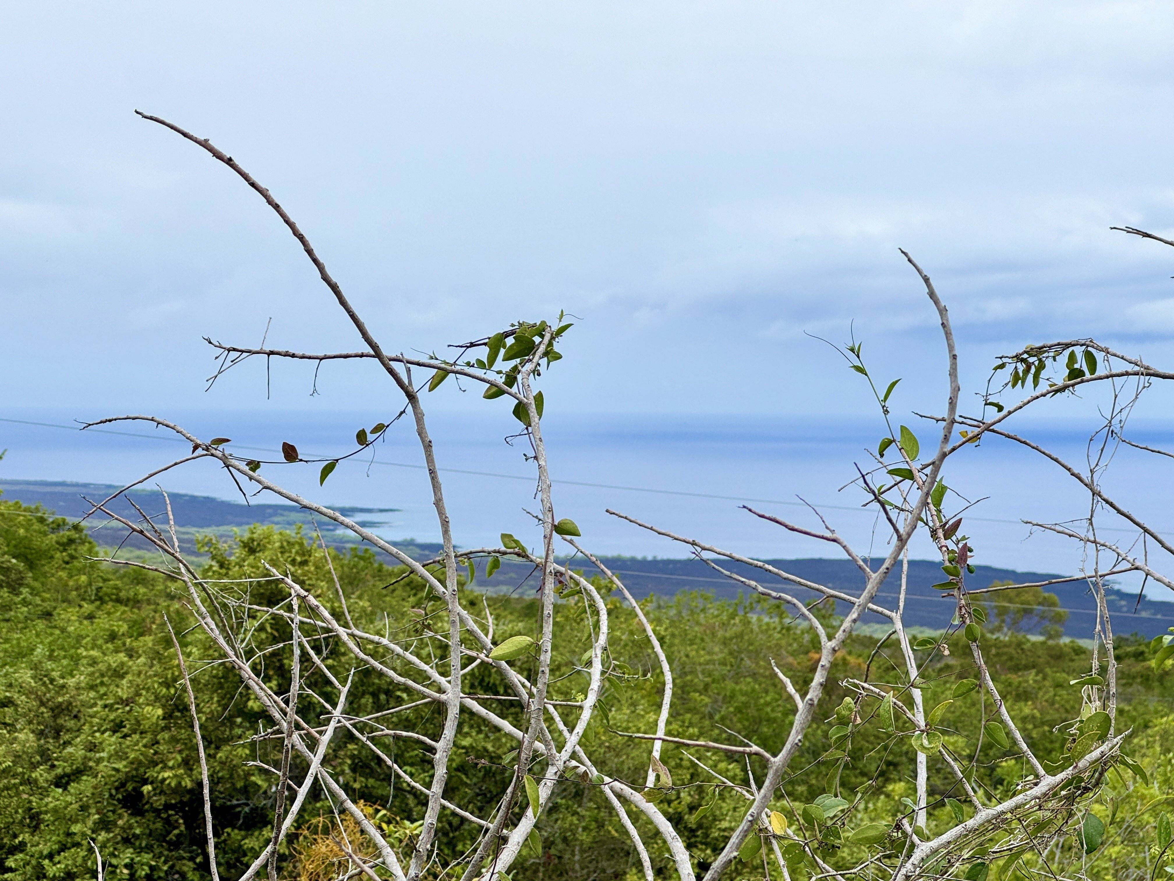 16-Acre Lot with Ocean Views