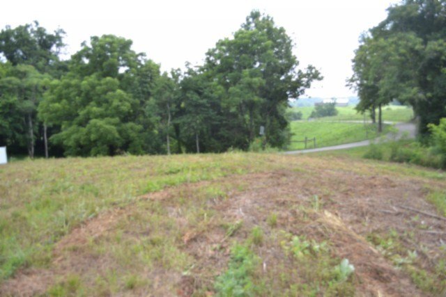Picture 31