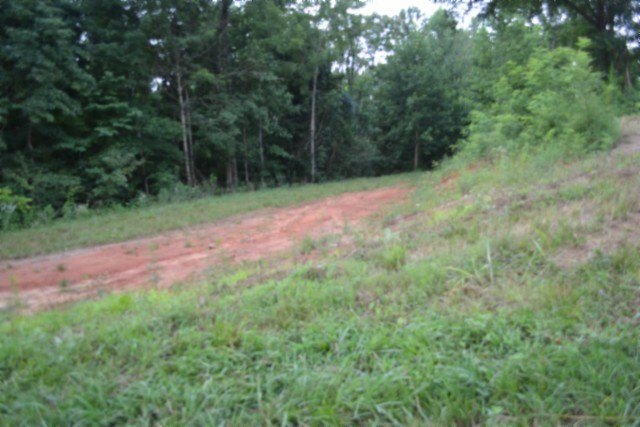 Picture 23