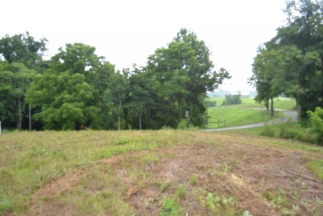 Picture 30