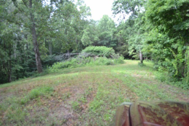 Picture 19
