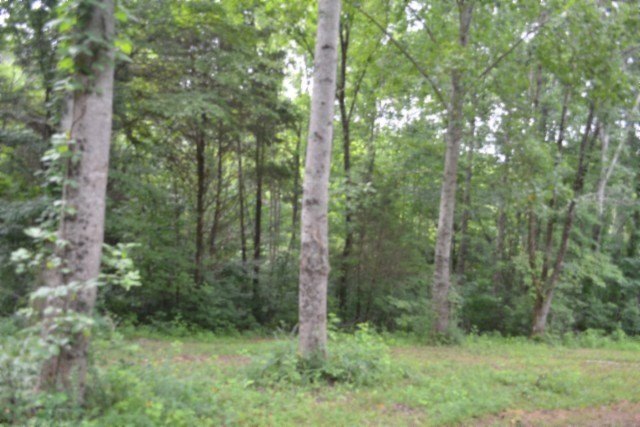 Picture 21