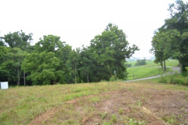 Picture 24
