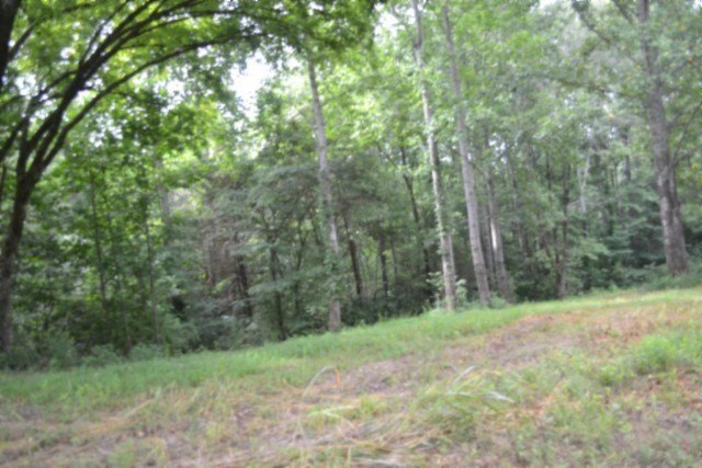 Picture 20
