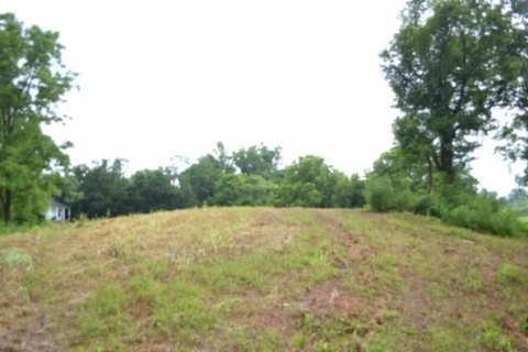 Rural Land with Creek Backdrop