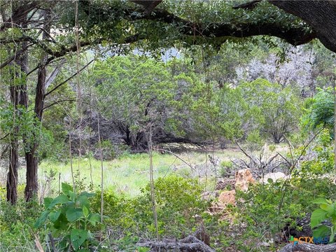 LAND - Canyon Lake, TX
