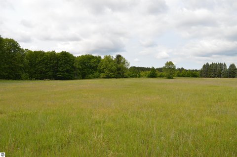 KINGSLEY, MI