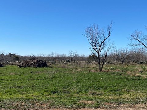 Residential Land in Robert Lee, TX