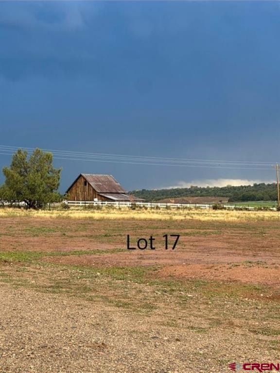 Picture 17