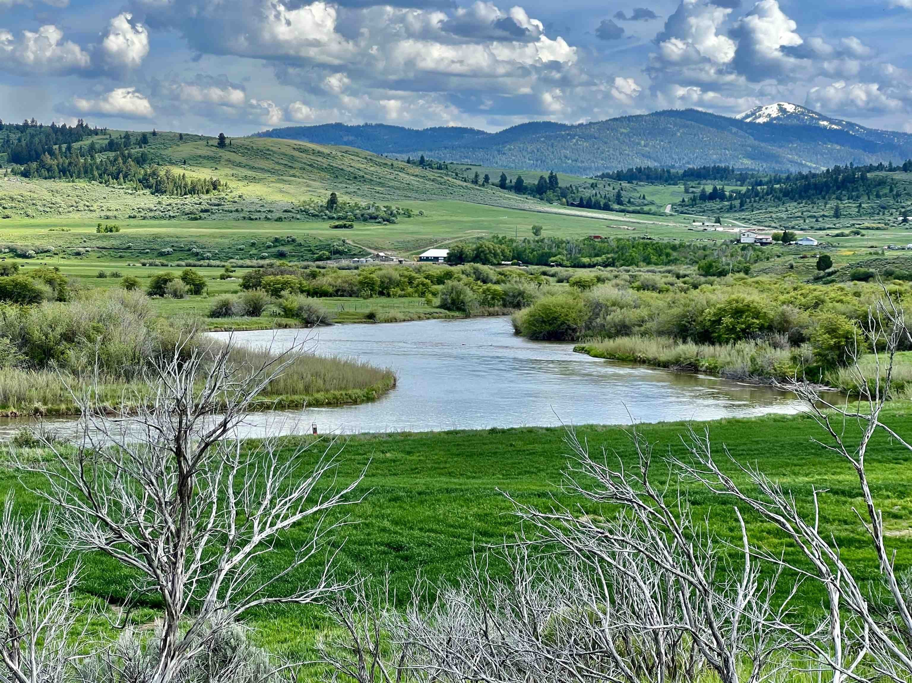 Riverfront Property with Mineral Spring
