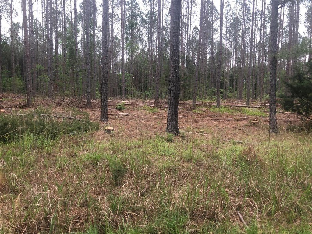 Residential Land in Iva, SC