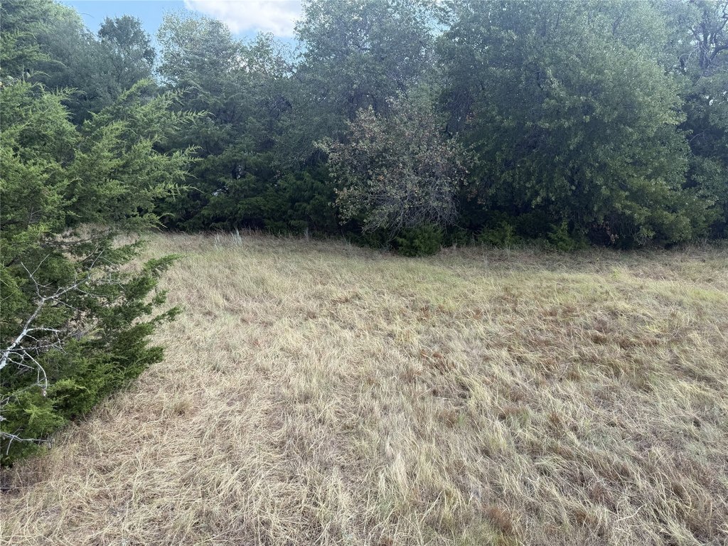 Picture 20