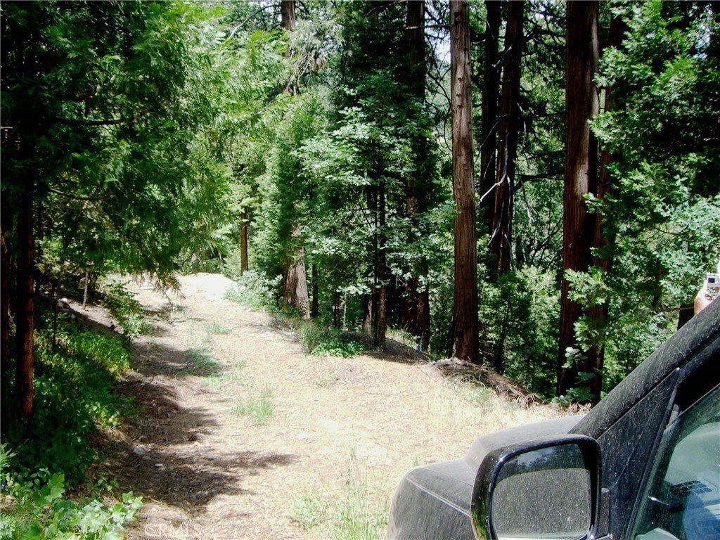 Picture 6