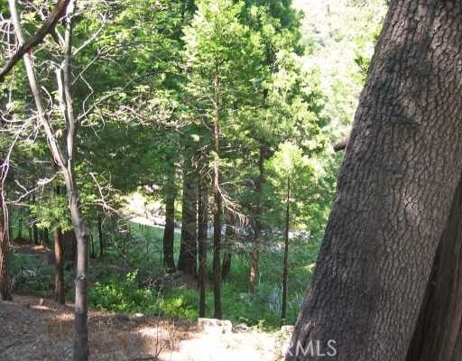Picture 8