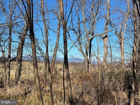 30-Acre Wooded Lot in Staunton