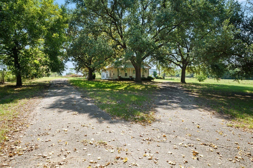 Picture 40